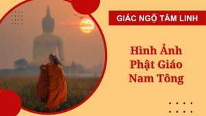 anh phat giao nam tong