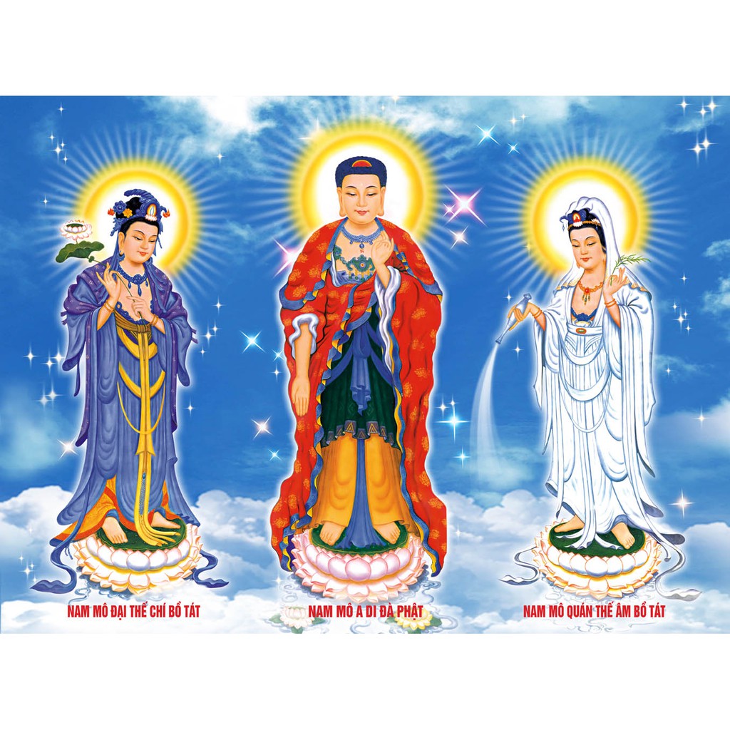 hinh anh dai the chi bo tat dep nhat 1