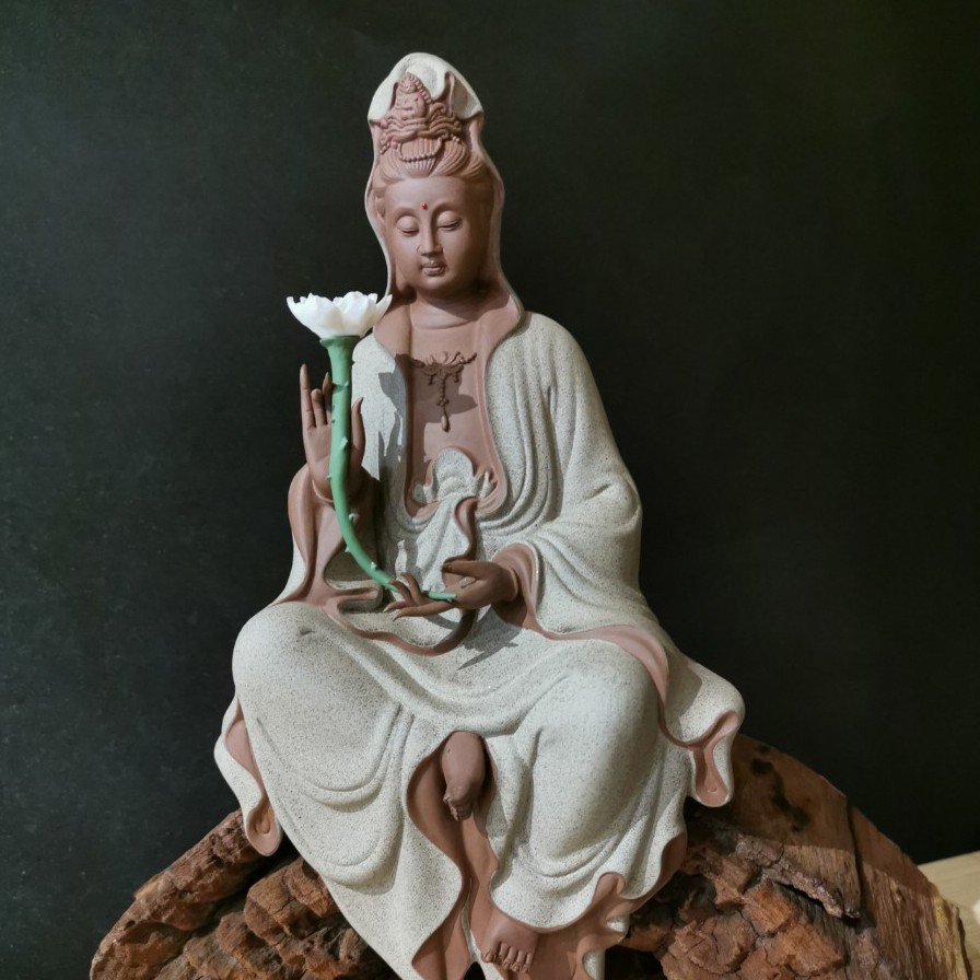 hinh anh dai the chi bo tat dep nhat 11