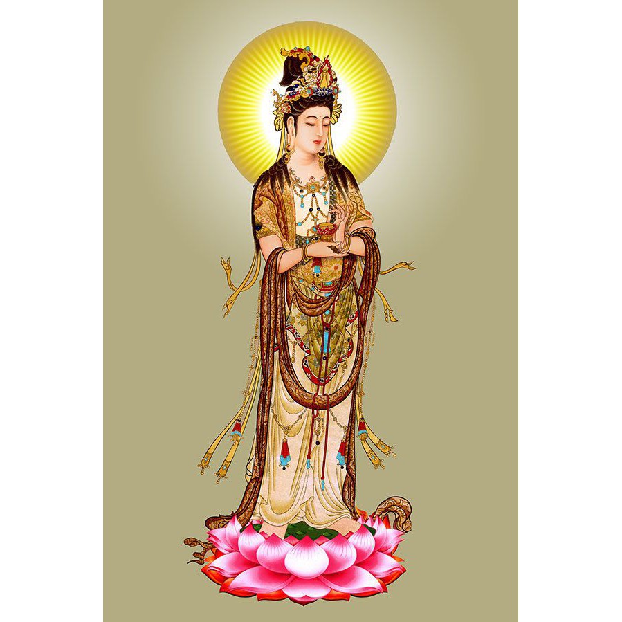 hinh anh dai the chi bo tat dep nhat 12