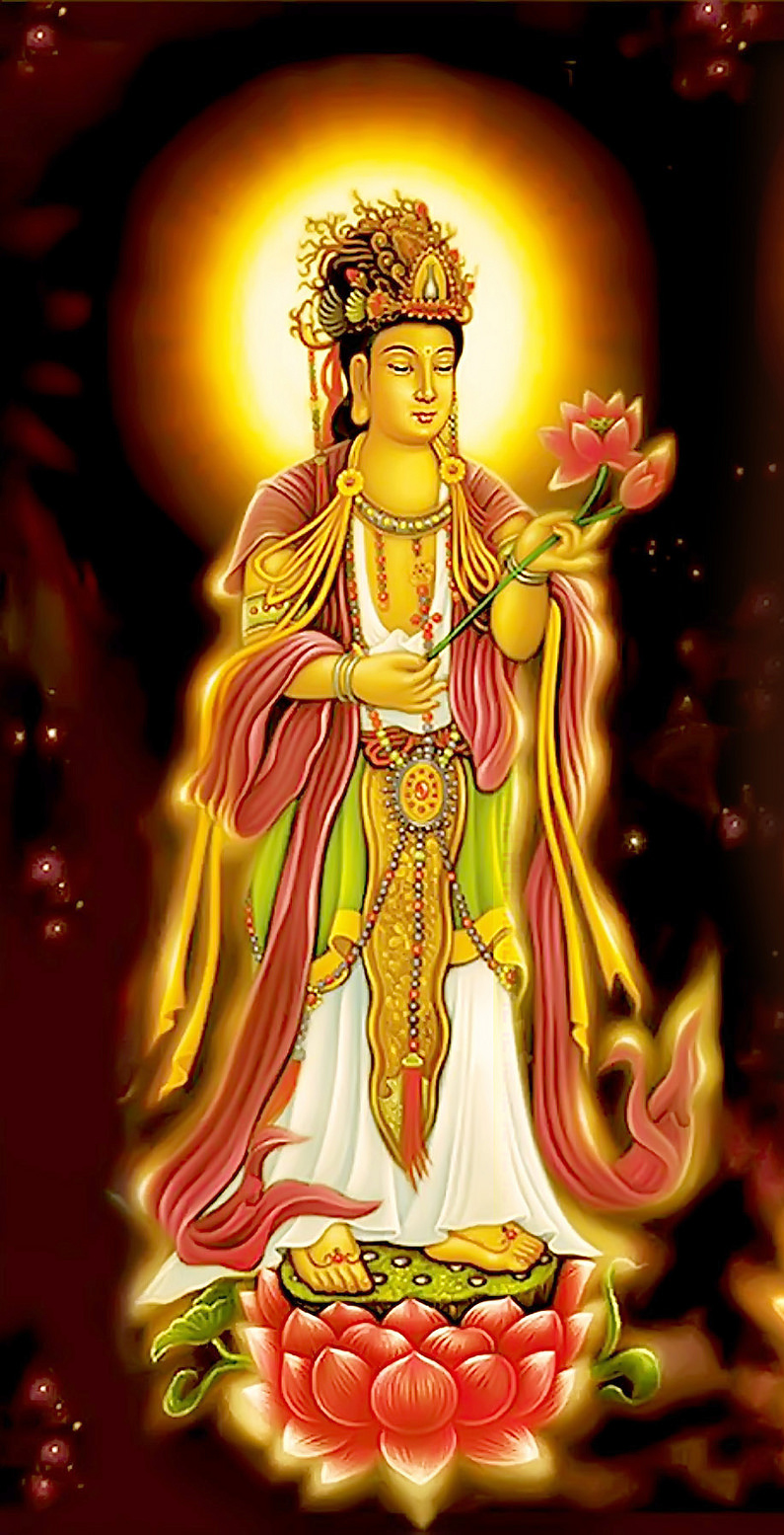 hinh anh dai the chi bo tat dep nhat 15