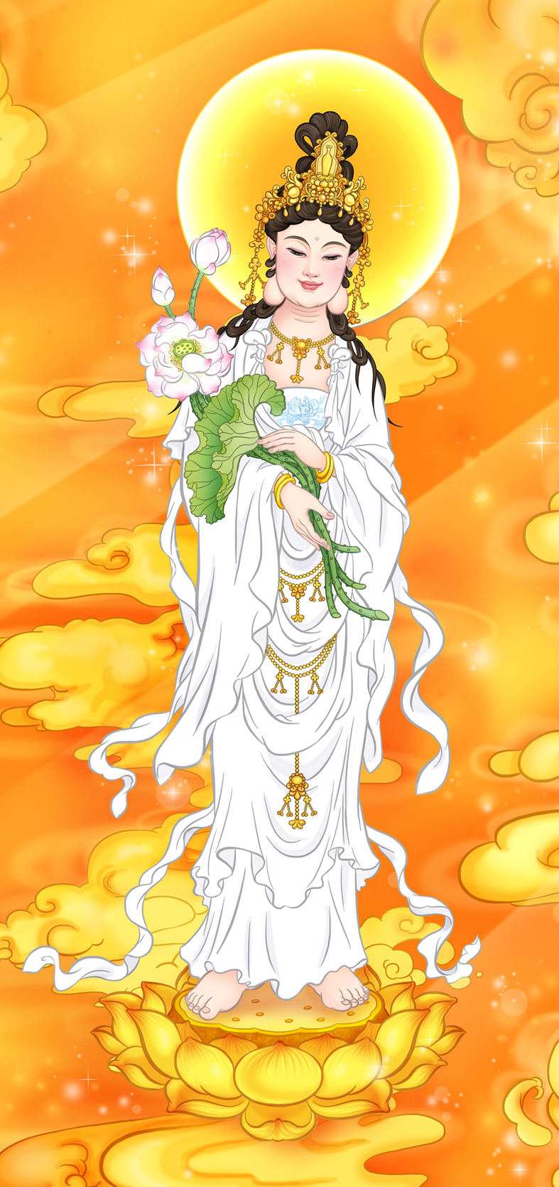 hinh anh dai the chi bo tat dep nhat 16