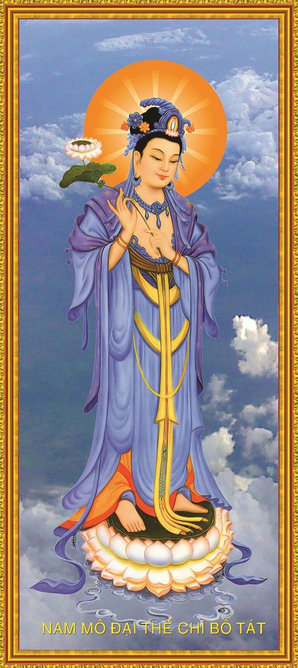 hinh anh dai the chi bo tat dep nhat 2