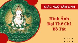 hinh anh dai the chi bo tat dep nhat