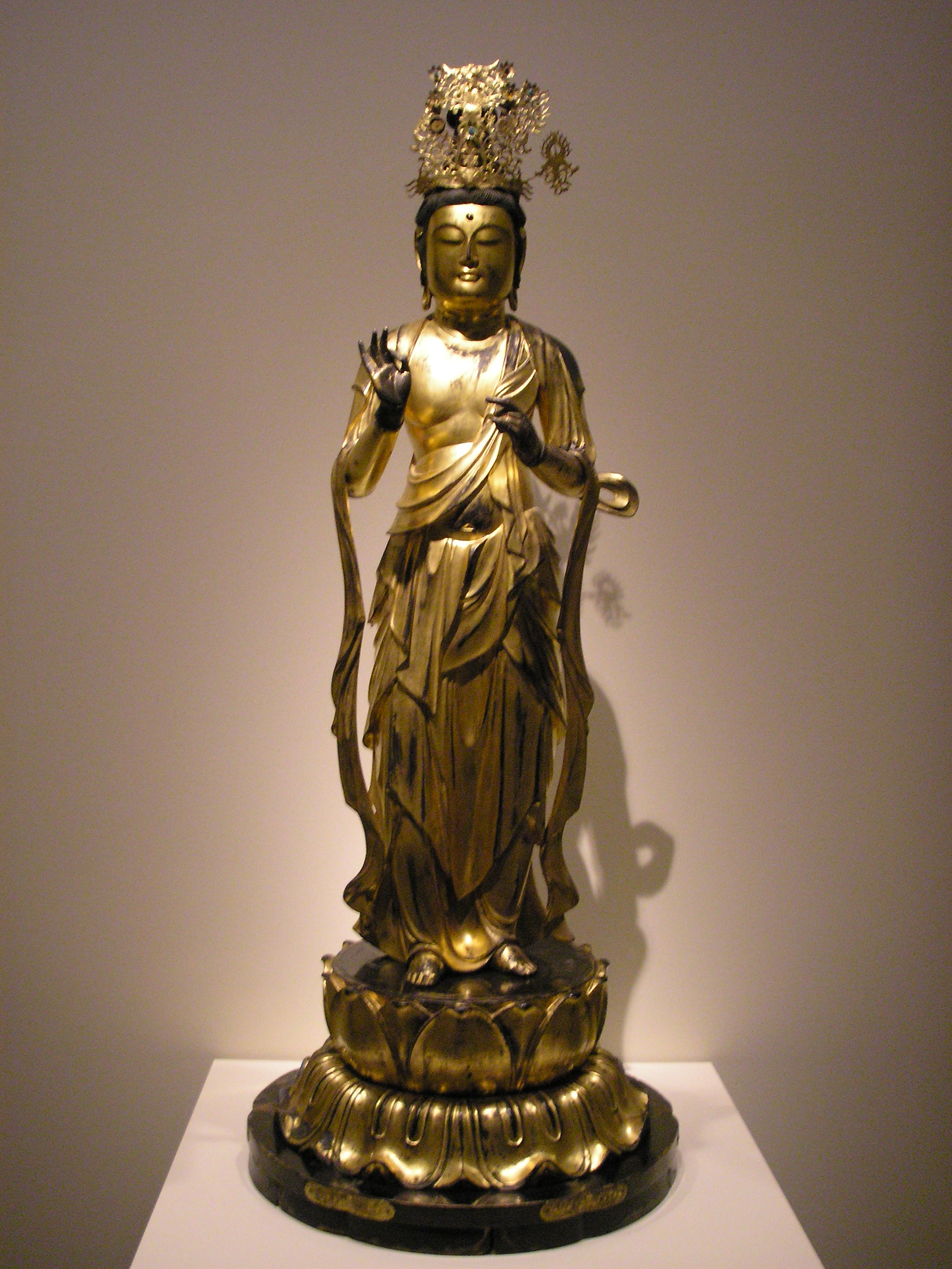 hinh anh dai the chi bo tat dep nhat 6