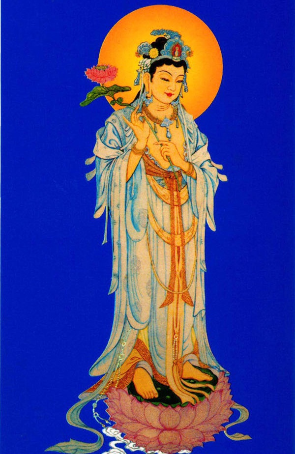 hinh anh dai the chi bo tat dep nhat 7