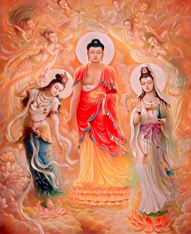 hinh anh dai the chi bo tat dep nhat 9