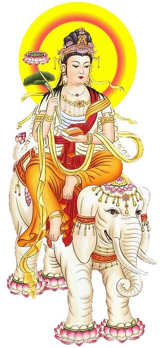 hinh anh ngai dai hanh pho hien bo tat 11