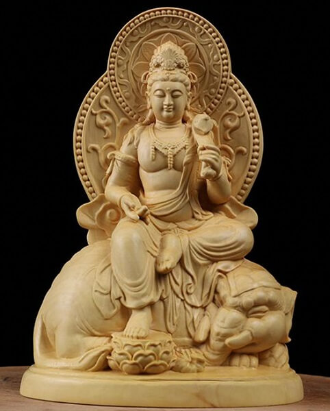 hinh anh ngai dai hanh pho hien bo tat 13