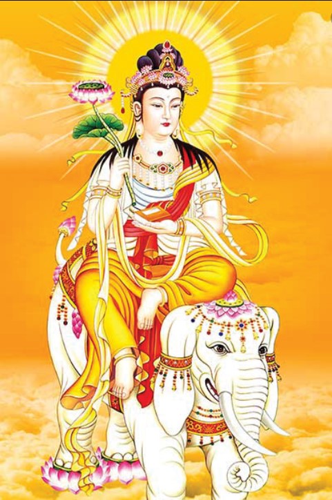 hinh anh ngai dai hanh pho hien bo tat 14