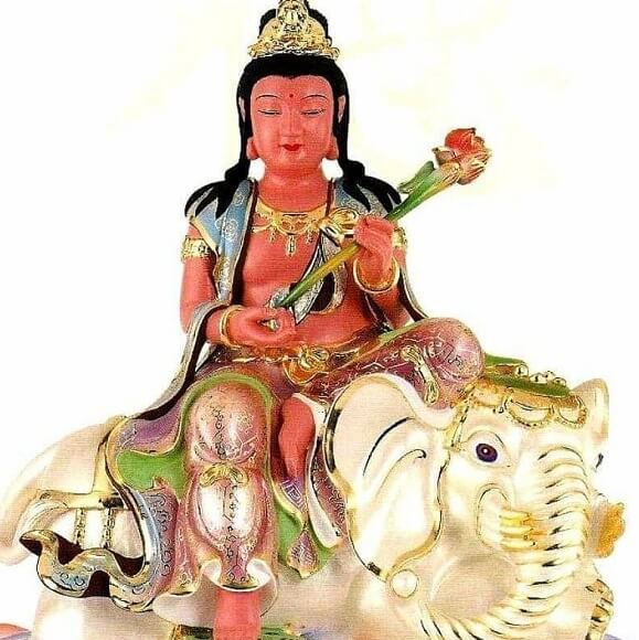 hinh anh ngai dai hanh pho hien bo tat 16