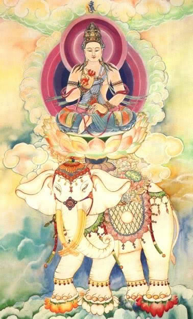 hinh anh ngai dai hanh pho hien bo tat 17