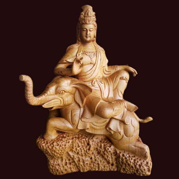 hinh anh ngai dai hanh pho hien bo tat 2