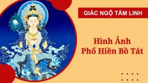 hinh anh ngai dai hanh pho hien bo tat