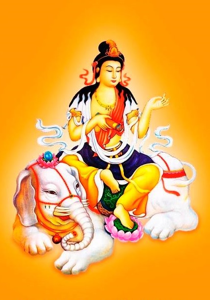 hinh anh ngai dai hanh pho hien bo tat 6