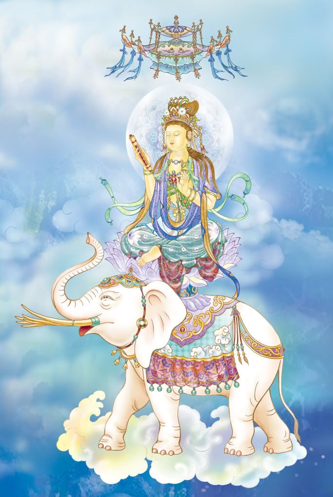 hinh anh ngai dai hanh pho hien bo tat 8