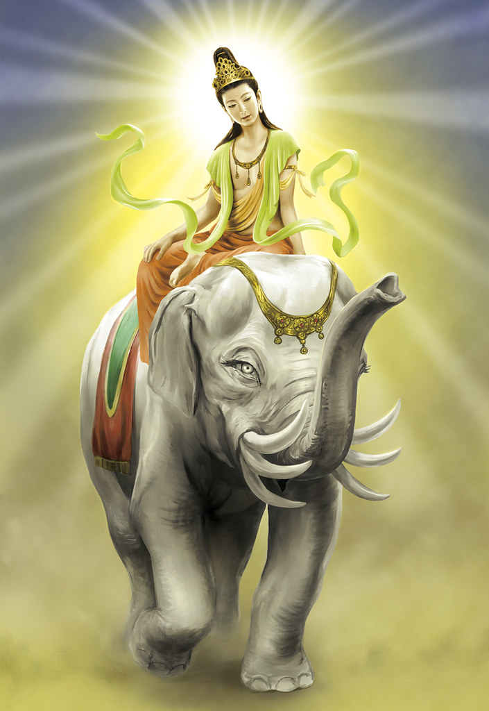 hinh anh ngai dai hanh pho hien bo tat 9