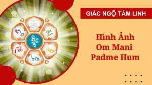hinh anh om mani padme hum