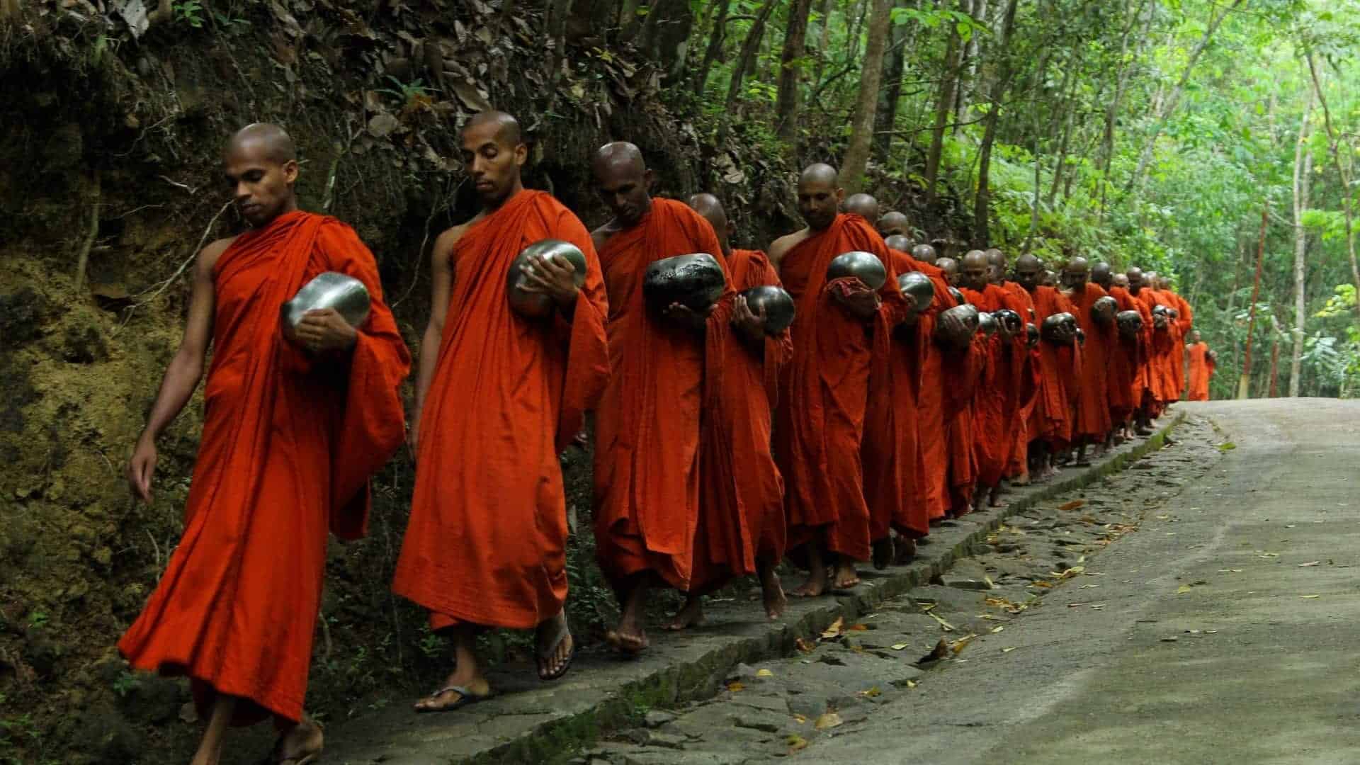 20+ Hình ảnh Phật Giáo Nam Tông - Phật Giáo Theravāda đẹp nhất 9 hinh anh phat giao nam tong 7