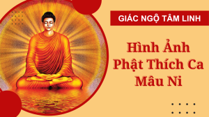 hinh anh phat thich ca mau ni dep nhat anh phat to nhu lai