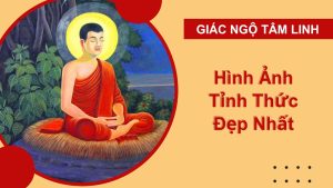 hinh anh tinh thuc dep nhat