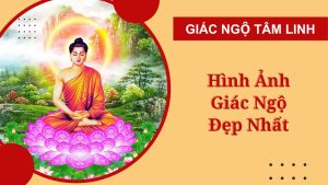 nhung hinh anh giac ngo dep nhat