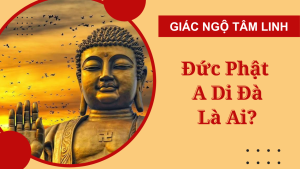 phat a di da la ai duc phat a di da co that khong