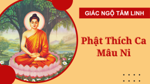 phat thich ca mau ni