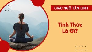 tinh thuc la gi
