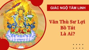 van thu su loi bo tat