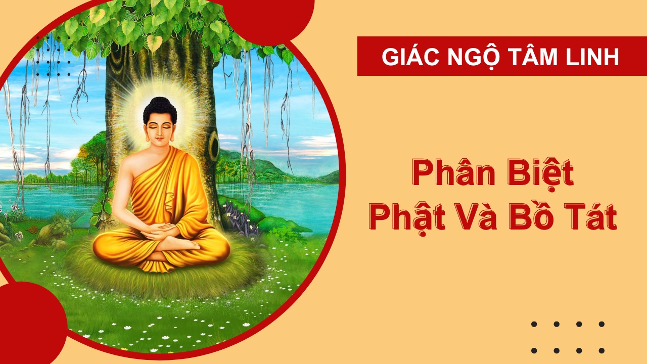 Phật và Bồ Tát Khác Nhau Như Thế Nào - Sự Khác Biệt Quan Trọng Bạn Nên Biết