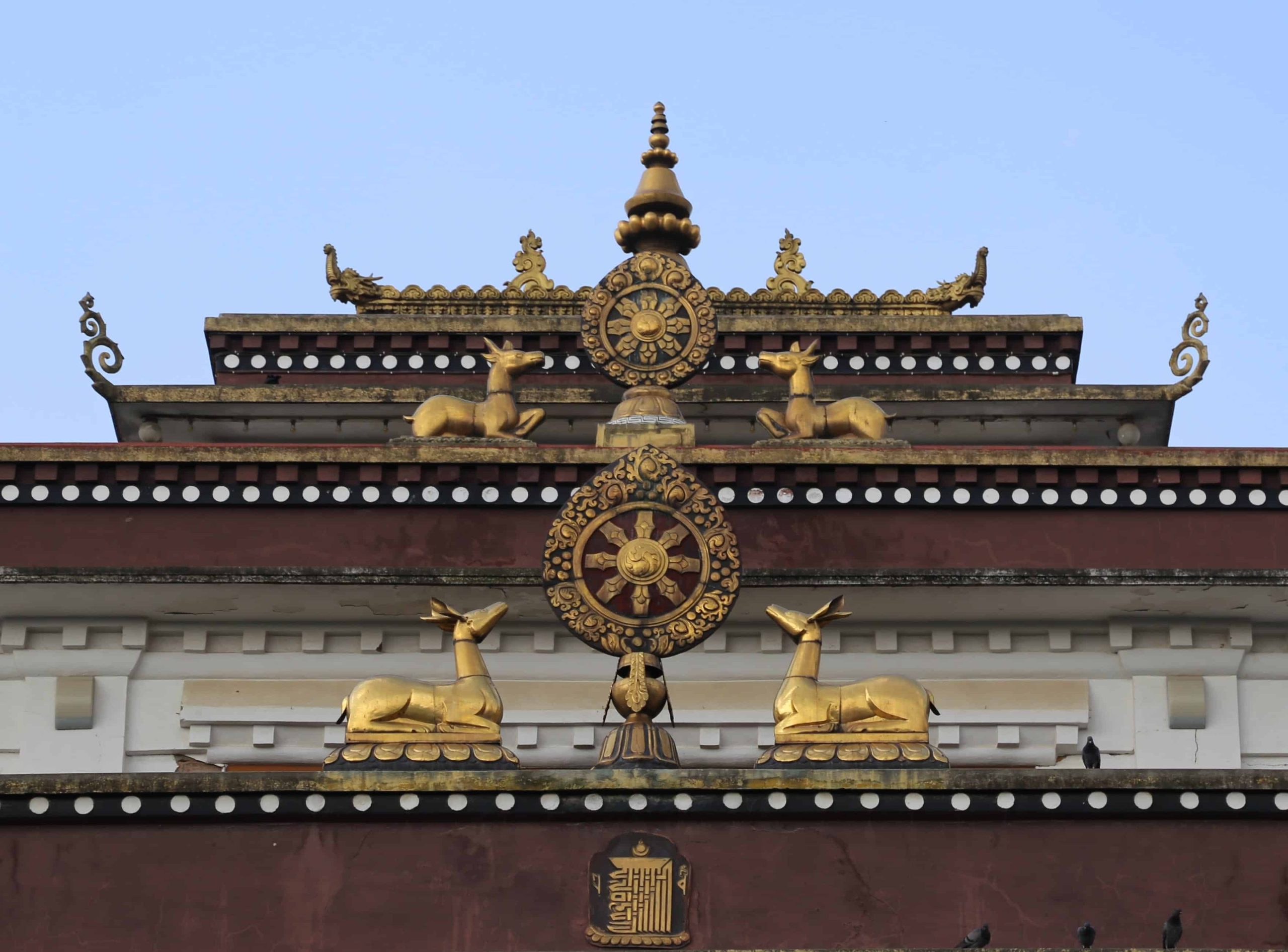 hinh anh banh xe chuyen phap luan 14 scaled