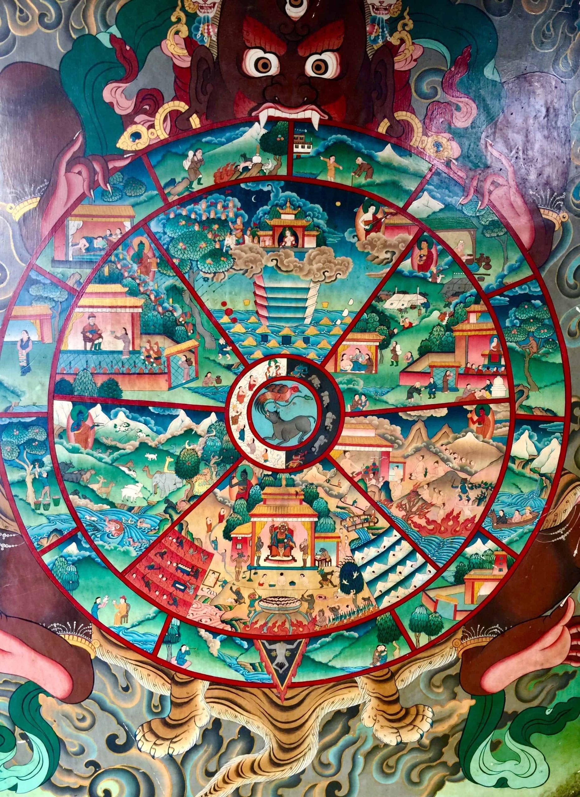 hinh anh banh xe luan hoi 5 scaled