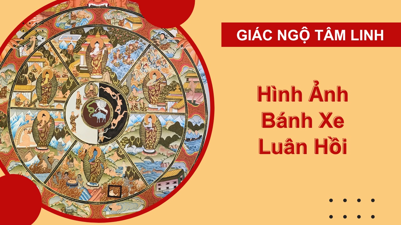 10+ Hình ảnh bánh xe luân hồi đẹp nhất trong Phật Giáo