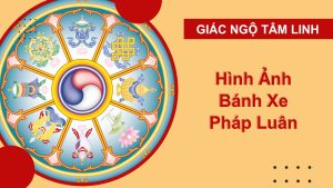 hinh anh banh xe phap luan 1