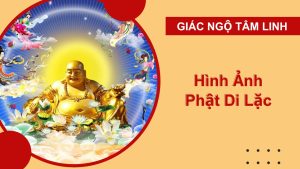 hinh anh phat di lac dep nhat