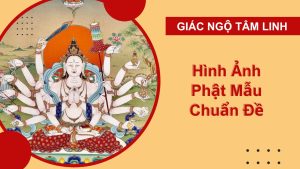 hinh anh phat mau chuan de bo tat 1