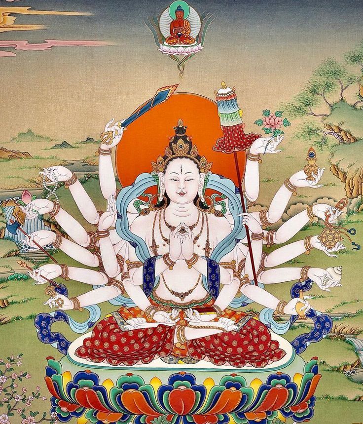 hinh anh phat mau chuan de bo tat 14