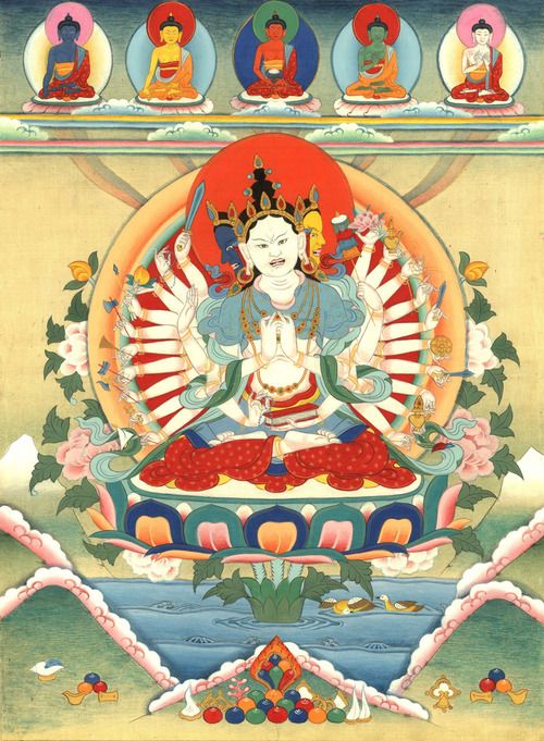 hinh anh phat mau chuan de bo tat 15