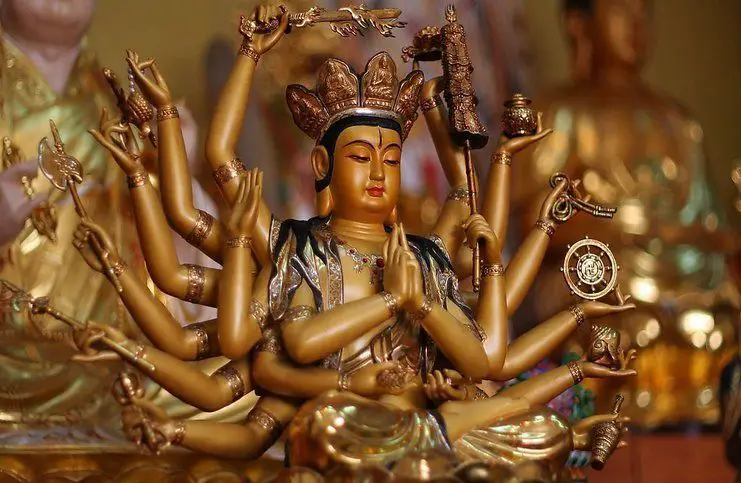 hinh anh phat mau chuan de bo tat 3