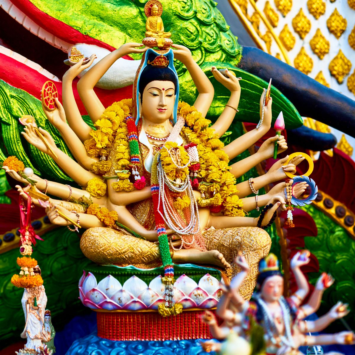 hinh anh phat mau chuan de bo tat 6