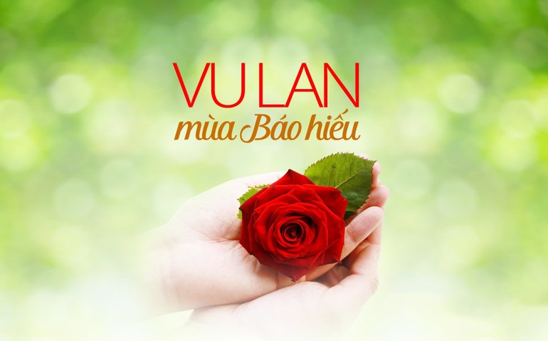 20+ Những hình ảnh đẹp về ngày Lễ Vu Lan báo hiếu Cha Mẹ 4 nhung hinh anh dep ve ngay le vu lan 13