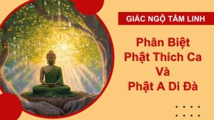 phan biet phat thich ca va phat a di da