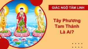 tay phuong tam thanh phat