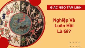 nghiep va luan hoi la gi 1