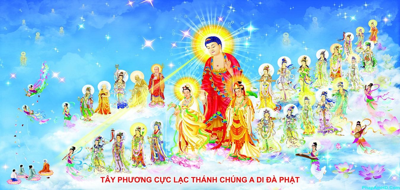 tay phuong cuc lac 8