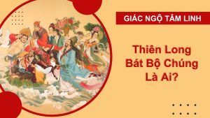 thien long bat bo chung
