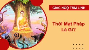 thoi mat phap la gi 1