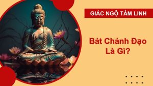 bat chanh dao la gi 1