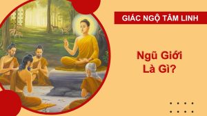 ngu gioi la gi